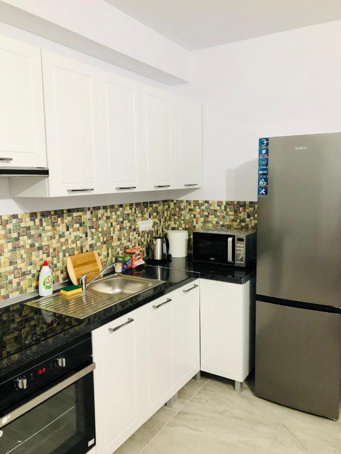 New And Modern Apartments In Villa, Near City Center M36 تيميشورا المظهر الخارجي الصورة